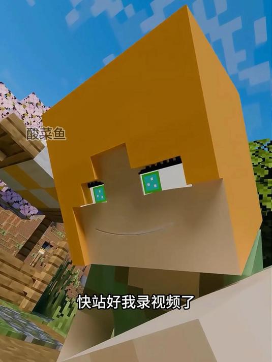 快站好我要拍照啦~ 我的世界  mc  mc不灭  mc酸菜鱼