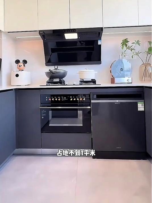 凯度(CASDON)「双热风」56L蒸烤箱一体机嵌入式 家用 烘焙蒸箱 烤箱 蒸烤炸炖四合