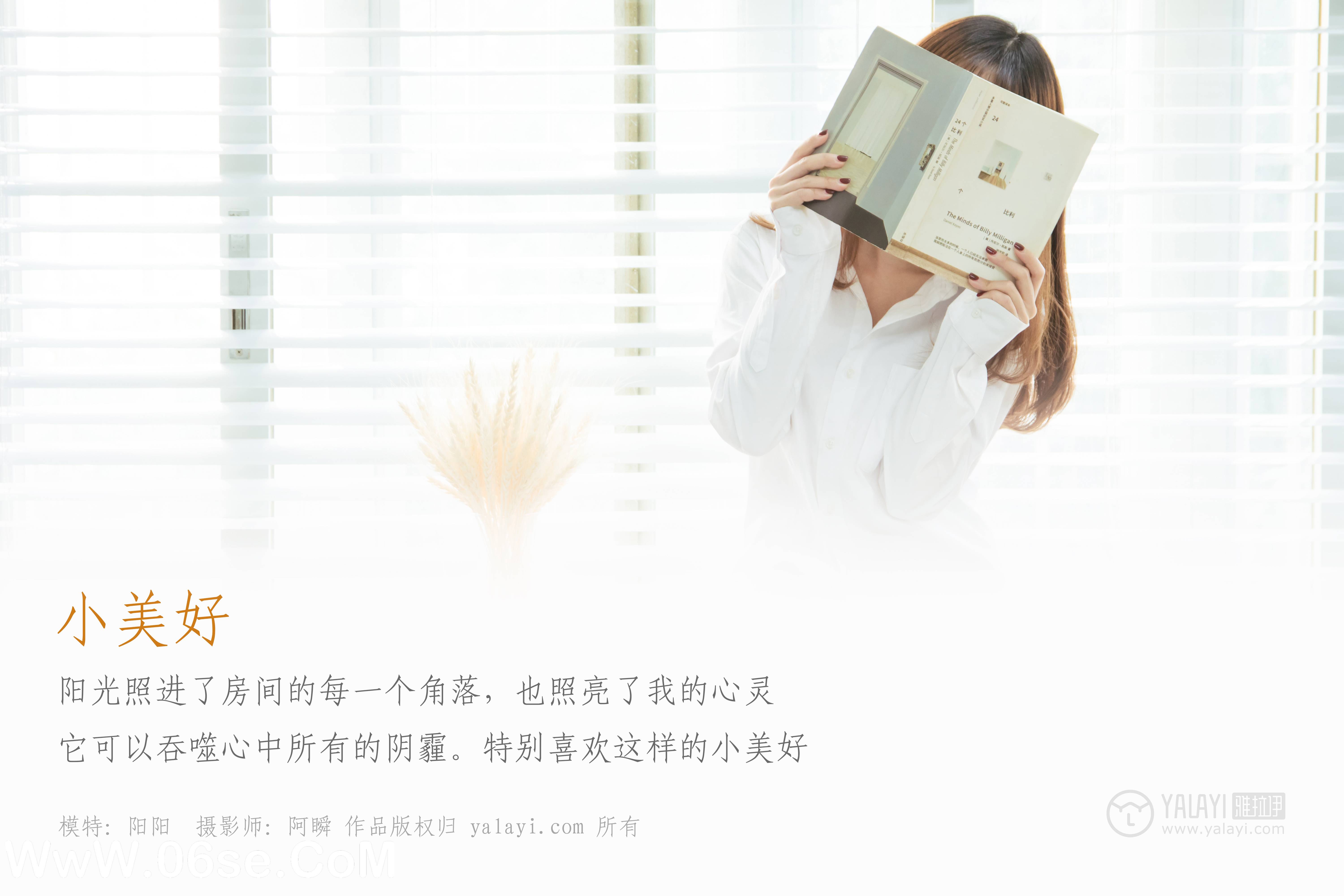 图片[2]-[YALAYI雅拉伊] NO.036 小美好 阳阳-六色网