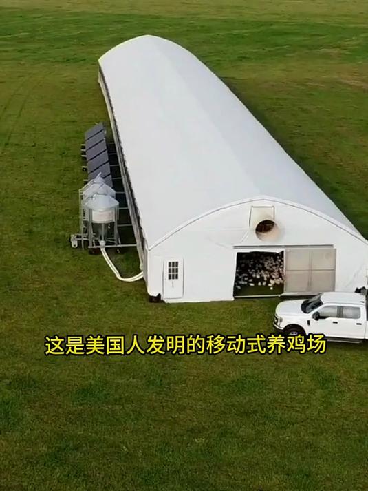 新型发明移动式养鸡场,高级鸡肉都是从这里面产出的