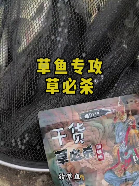 钩尖江湖草鱼散饵,专攻草鱼的一款饵料,窝饵一体诱钓结合效果好#草鱼饵料#