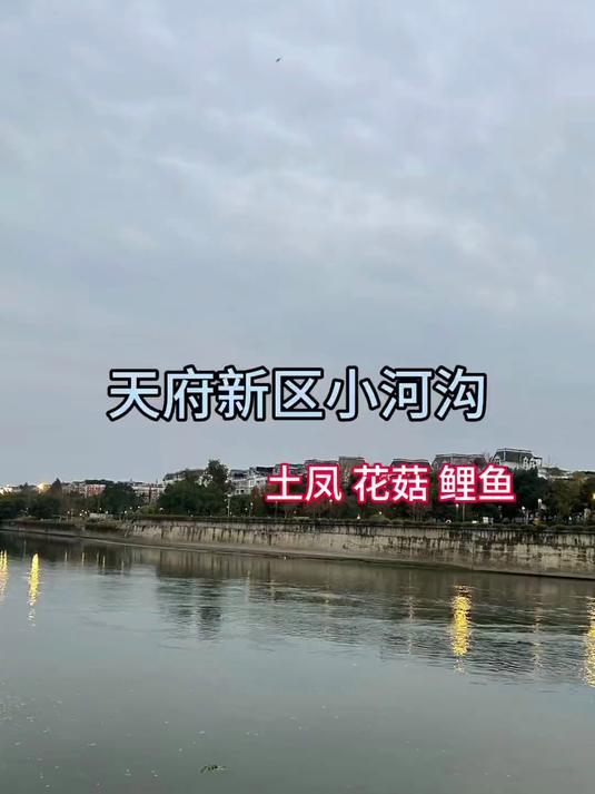 成都周边野钓，没想到最近土凤鱼情这么暴躁