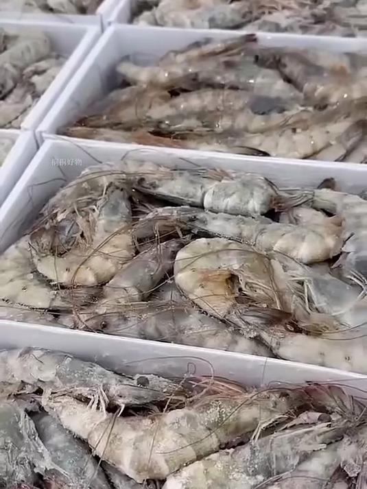 每只虾都沉甸?拿在手里超有分量