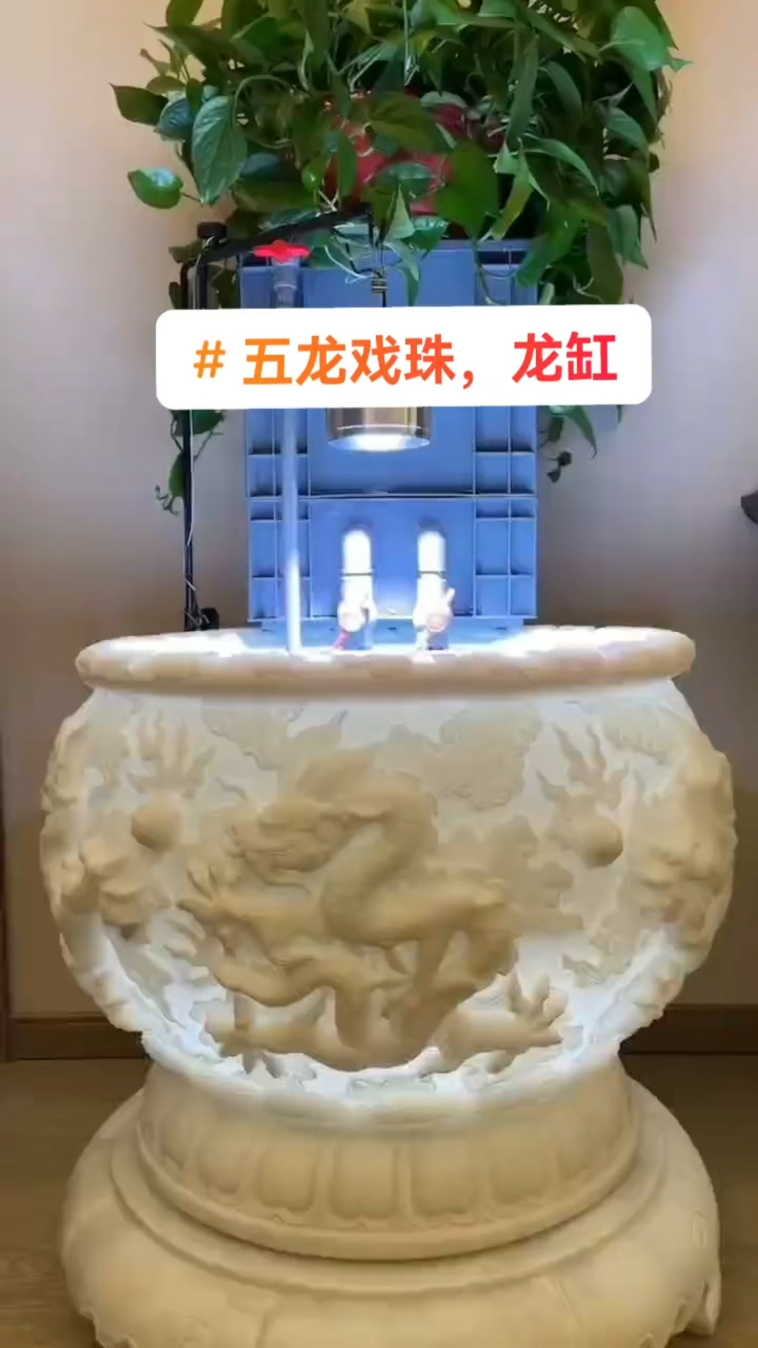鱼缸门海,鱼缸造景,汉白玉五龙鱼缸装饰吗的庭院