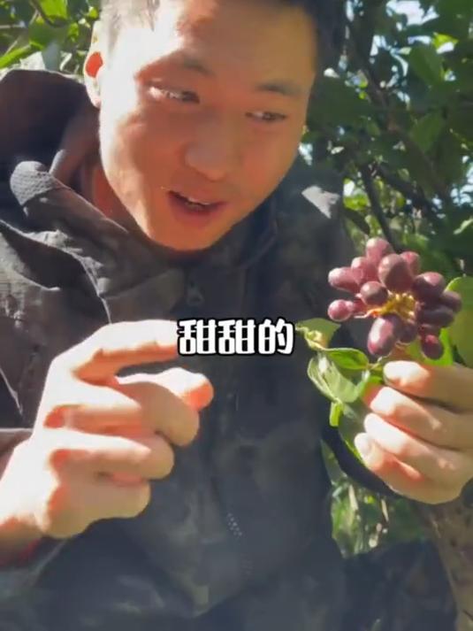 制作荒野版半自动吹风机和榨汁机，我和队友感受到了荒野的乐趣