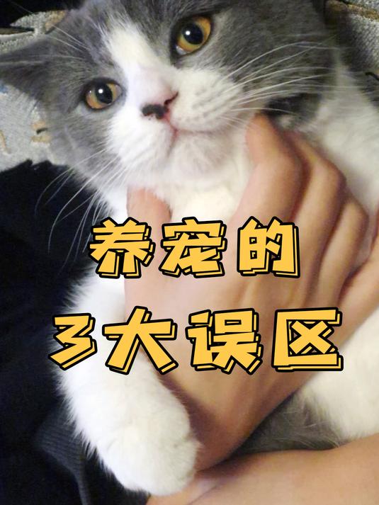 被猫抓到要打狂犬疫苗吗?