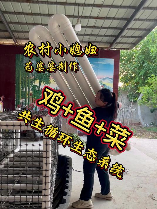 农村小媳妇为婆婆制作了一套鸡鱼菜共生的生态系统