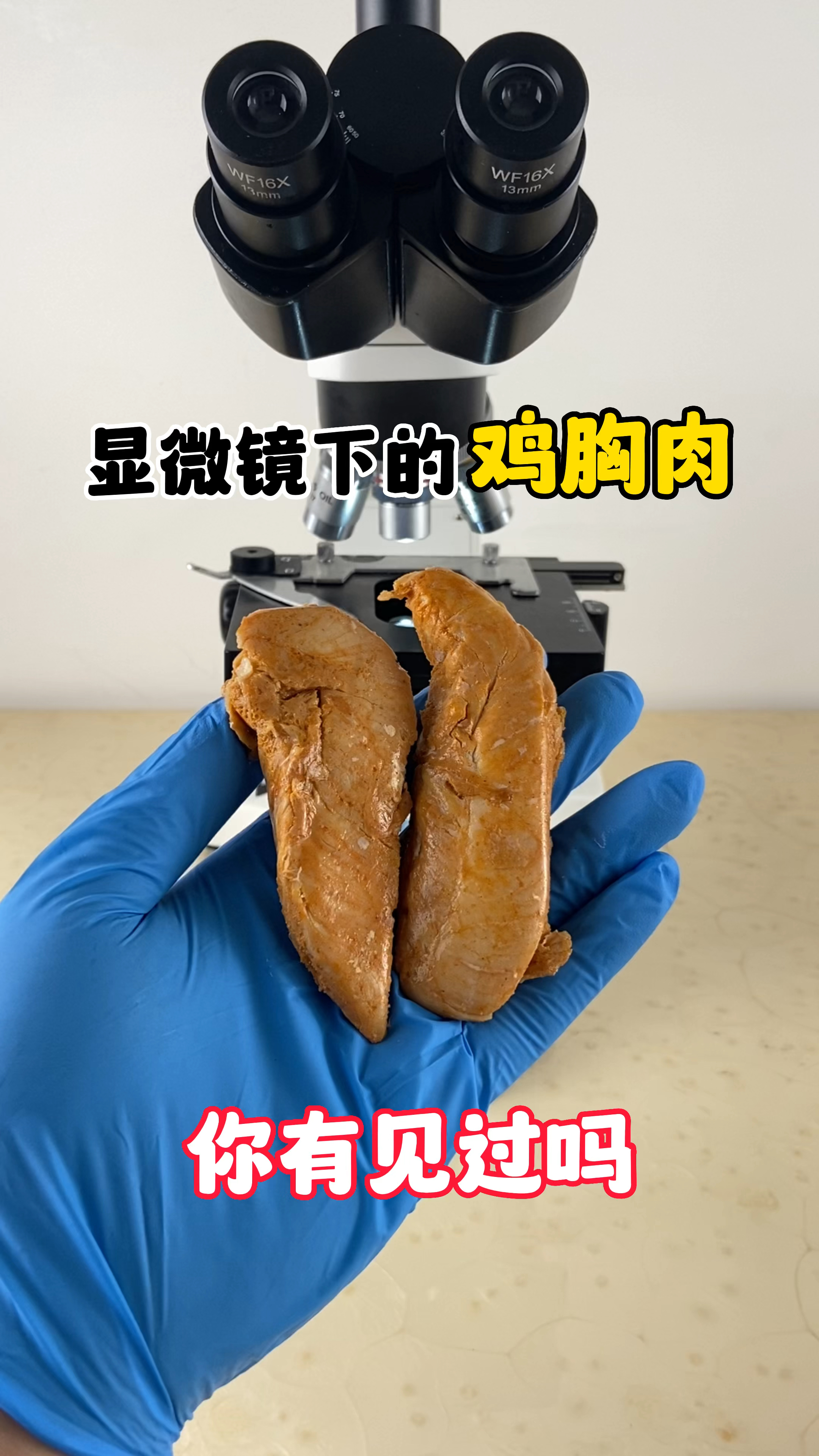 显微镜下的鸡胸肉看看是什么样的