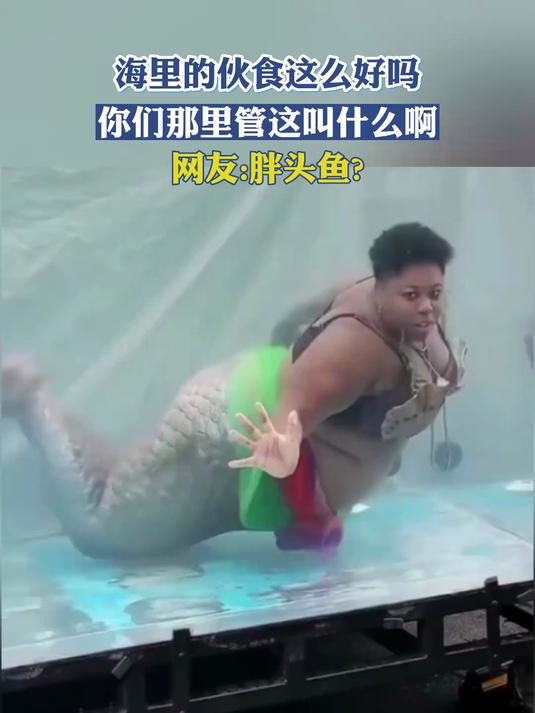 海里的伙食这么好吗?你们那里管这叫什么啊?网友:胖头鱼?