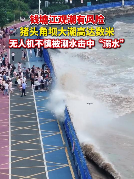 钱塘江观潮有风险,猪头角坝大潮高达数米,无人机不慎被潮水击中“溺水”