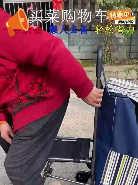 老年人买菜车购物车小拉车便携爬楼拉杆车超市手推车买菜神器!