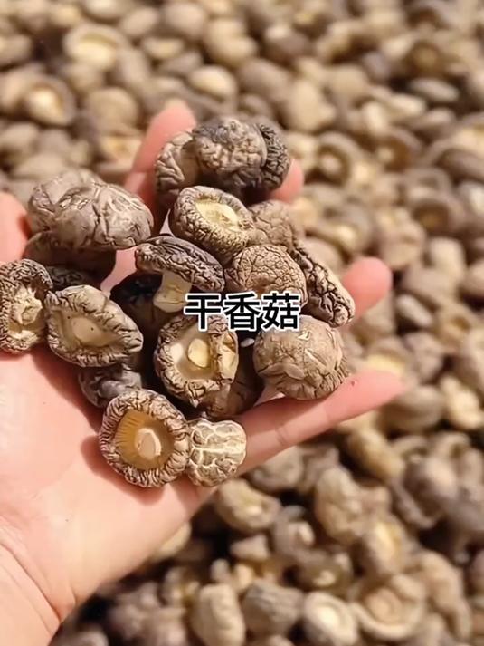 你有吃过这种软嫩Q弹菇肉厚实的干香菇吗煲汤做菜非常入味!