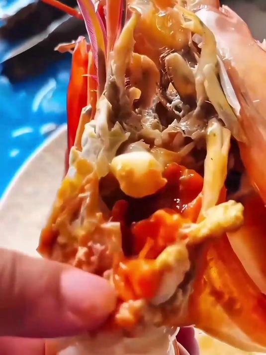 黑虎虾煮火锅!鲜到飞起,超够味?