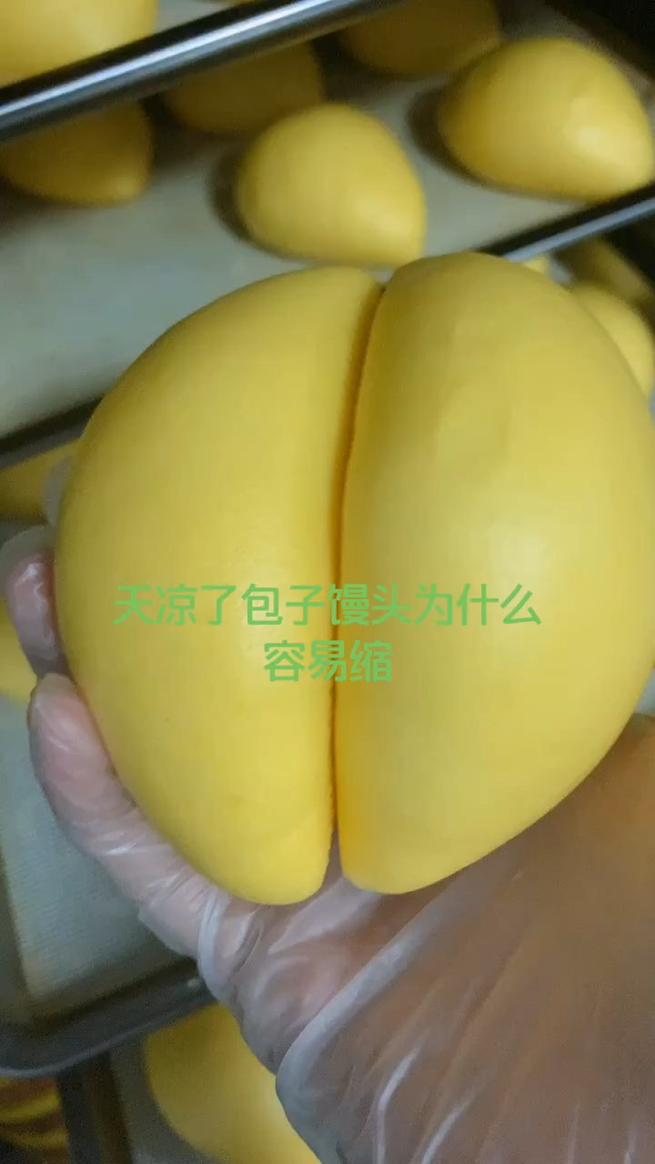 天气冷了包子馒头为什么会缩