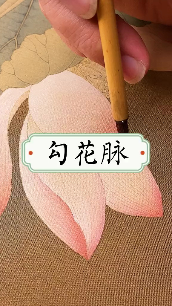 勾勒荷花花脉,童兴华工笔画