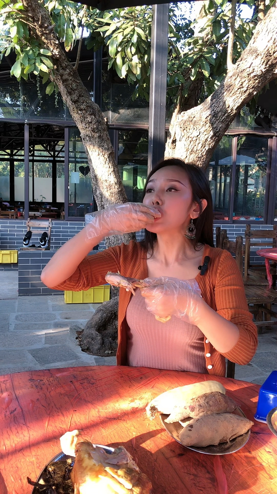 人家公鸡都是早上叫,你这早晚都在叫,留你何用