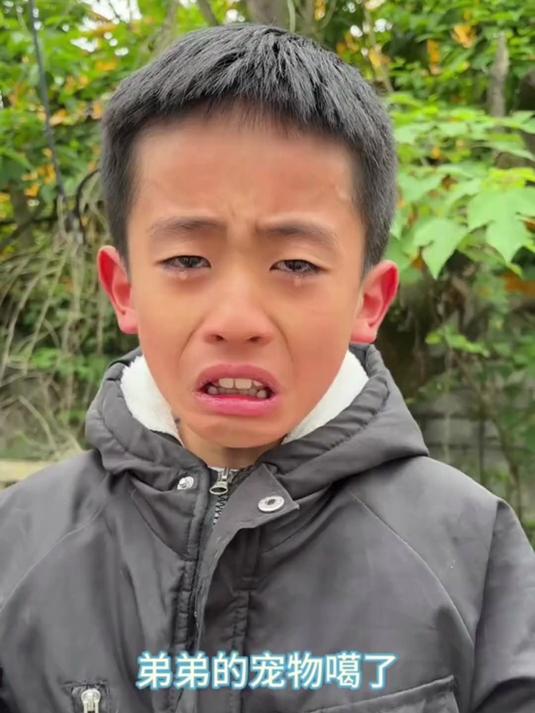 一只母鸡和好几只公鸡的故事