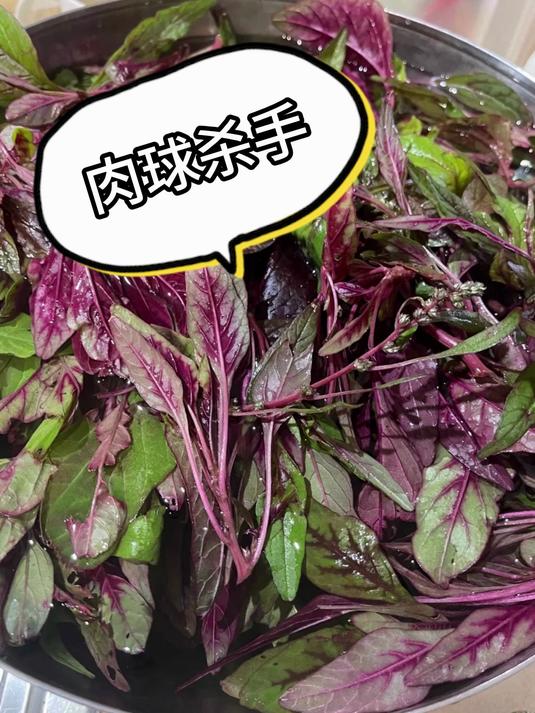 乡下没人理的野草,竟是痔疮克星!肉球慢慢不见了