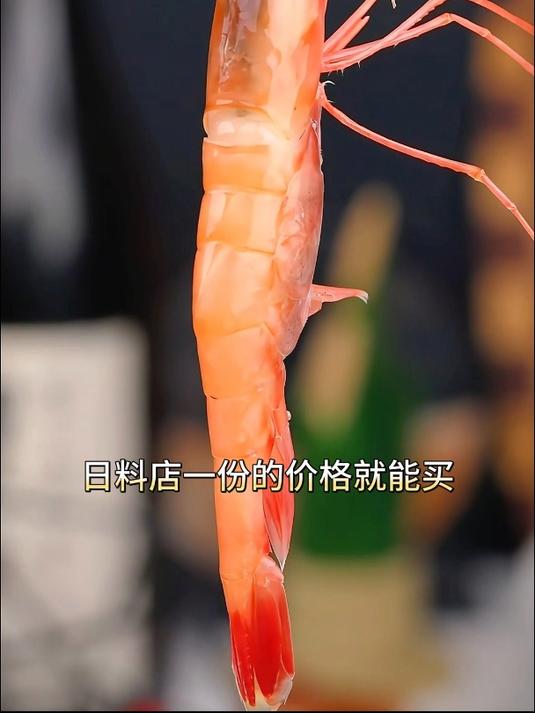 北极甜虾 刺身甜虾