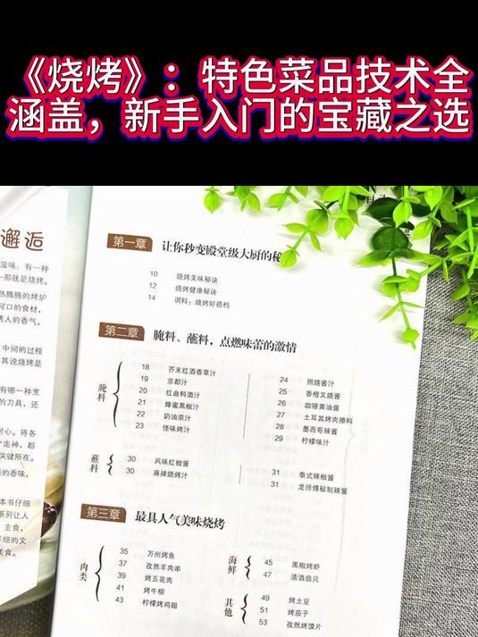 《烧烤》,特色菜品技术全涵盖,新手入门的宝藏之选