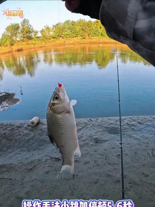 升级版路亚逗钓鲫鱼线组制作,离底高度随意调节,有效防止挂底