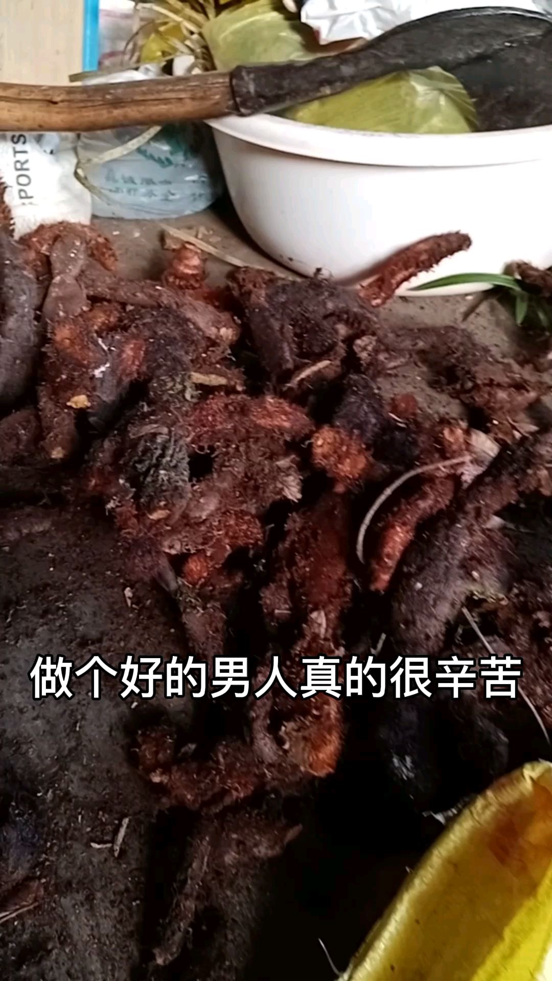 这种中药材,你们那里叫什么? 这种中药材,我们这里叫岩公鸡、巴岩姜,你们那里叫什么?