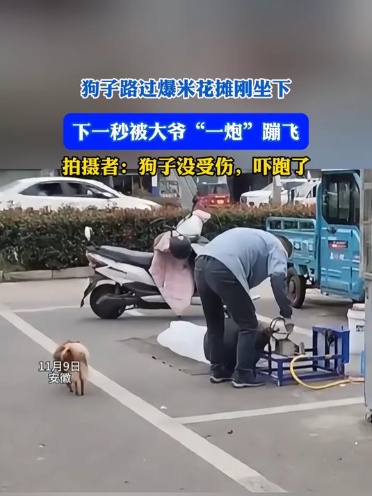 狗子路过爆米花摊刚坐下，下一秒被大爷“一炮”蹦飞