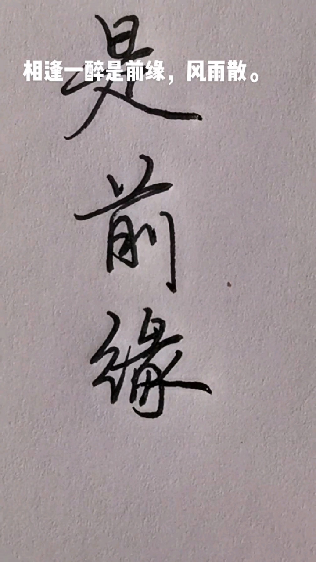 相逢一醉是前缘,风雨散,飘然何处,这是苏轼的飘逸超旷,硬笔行楷欣赏