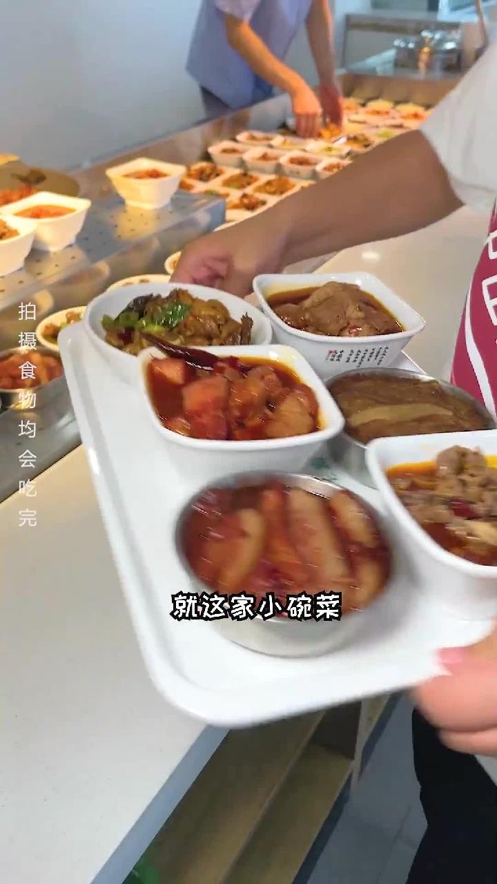 我太爱小碗菜了,同样的钱就能吃到那么多种类,人均十块吃的