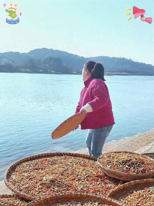 这么好的小鱼小虾谁吃谁说好