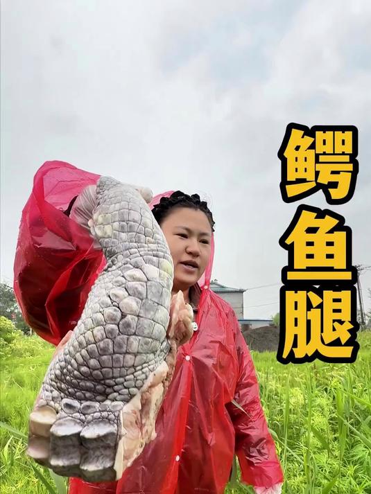 鳄鱼腿