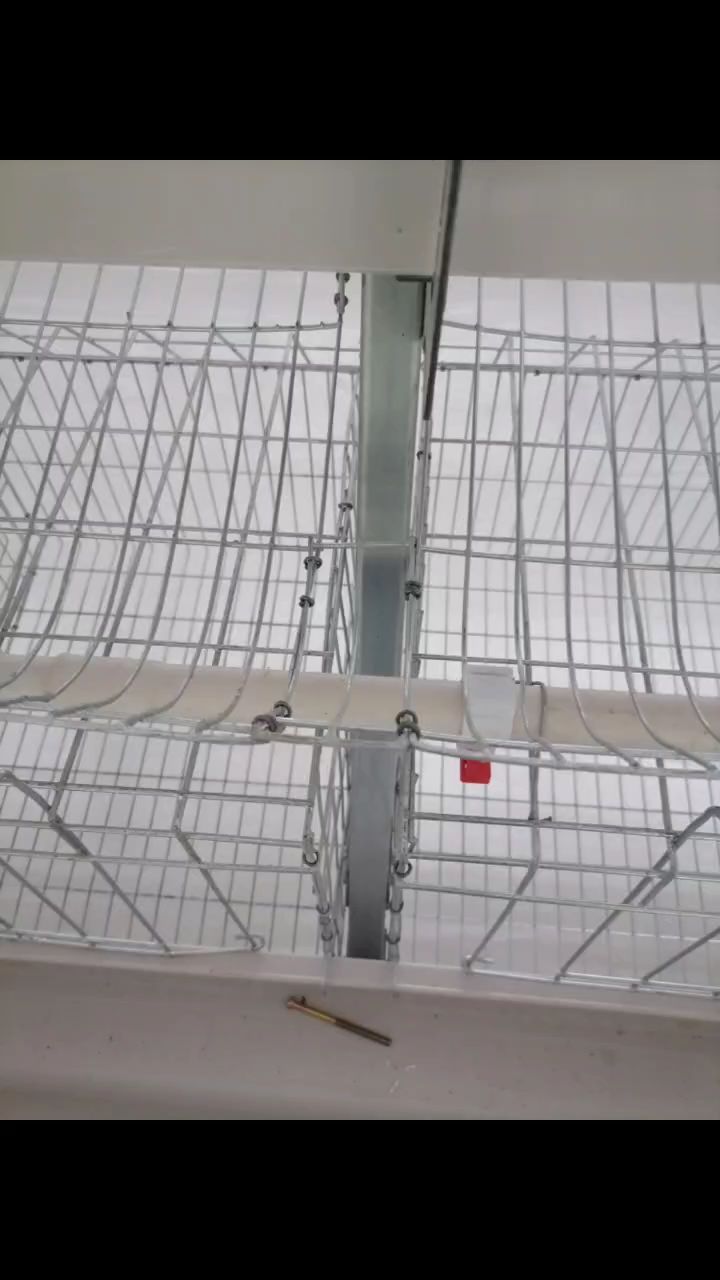 弘锦机械科技制造蛋鸡笼,热镀锌鸡笼,层叠式蛋鸡笼,肉鸡笼,育雏鸡笼,自动喂料机