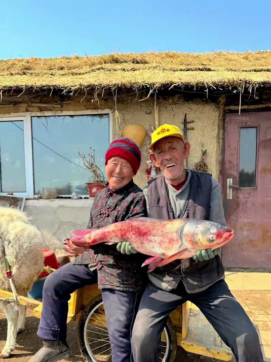 铁锅炖大胖头鱼！爷爷奶奶就爱吃鱼，咋吃不够……