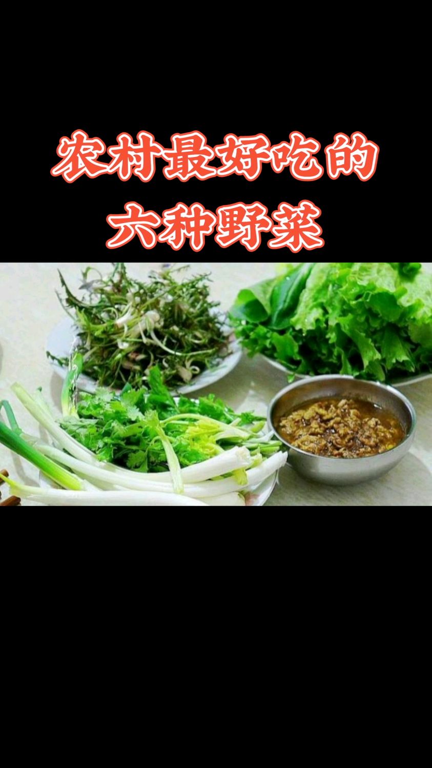 农村最好吃的六种野菜