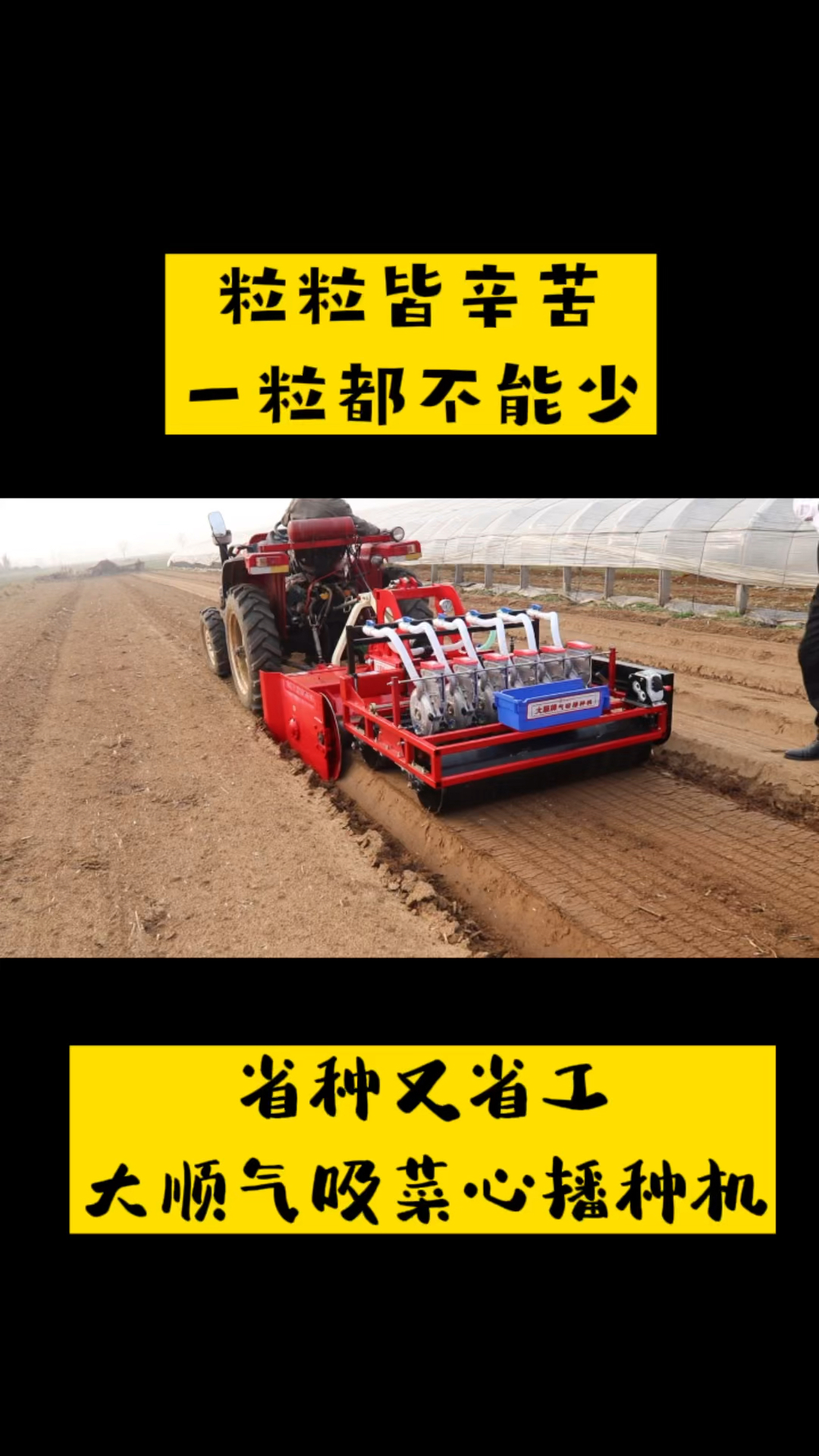 大顺气吸菜心播种机