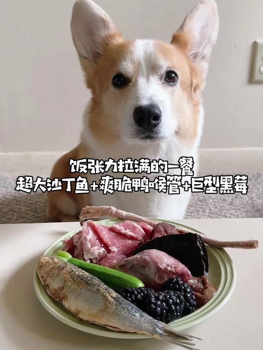 饭张力拉满!大沙丁鱼+爽脆鸭喉管+巨型黑莓
