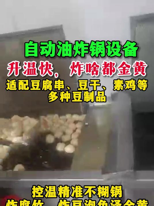 自动油炸锅设备,升温快,炸啥都金黄,适配豆腐串、豆干、素鸡等