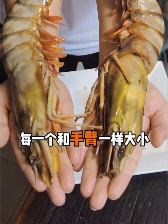 不用复杂处理!超大黑虎虾直接煮,超方便