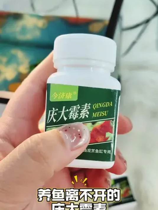 「急救」用庆大霉素治鱼病 不伤鱼 新手养鱼必备