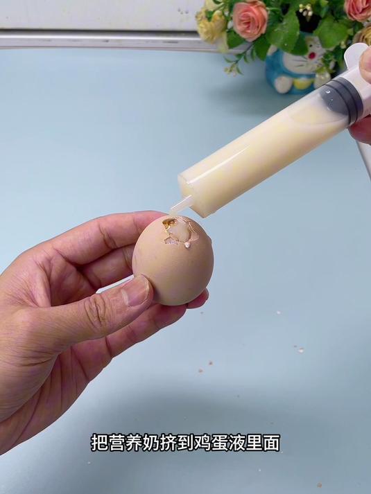 真的能孵化出小鸡仔吗