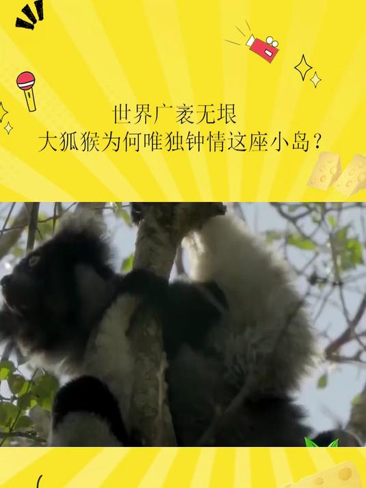 春回大地,多瑙河哲罗鱼脑里只装着一件事,到底是什么让它如此执着?