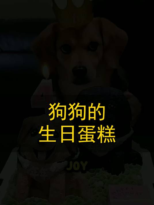 狗狗的生日蛋糕！