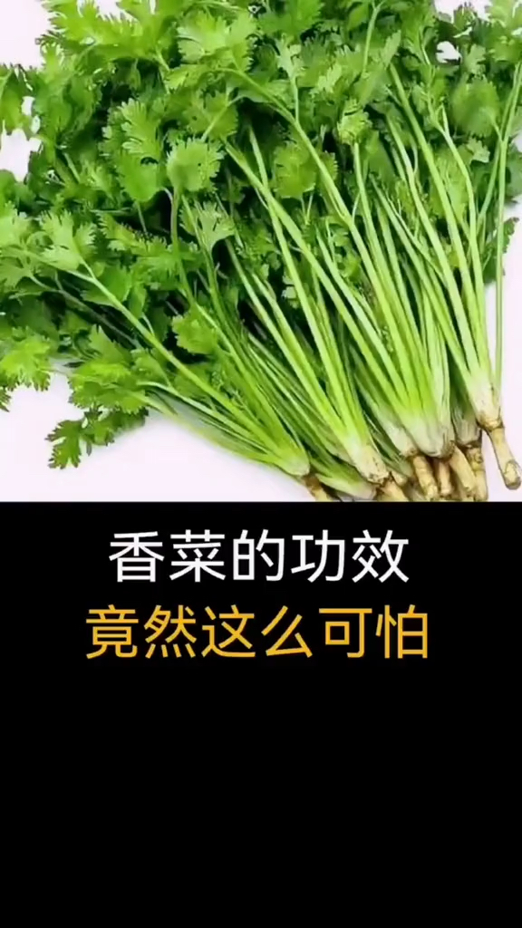 香菜的功效竟然这么可怕唉