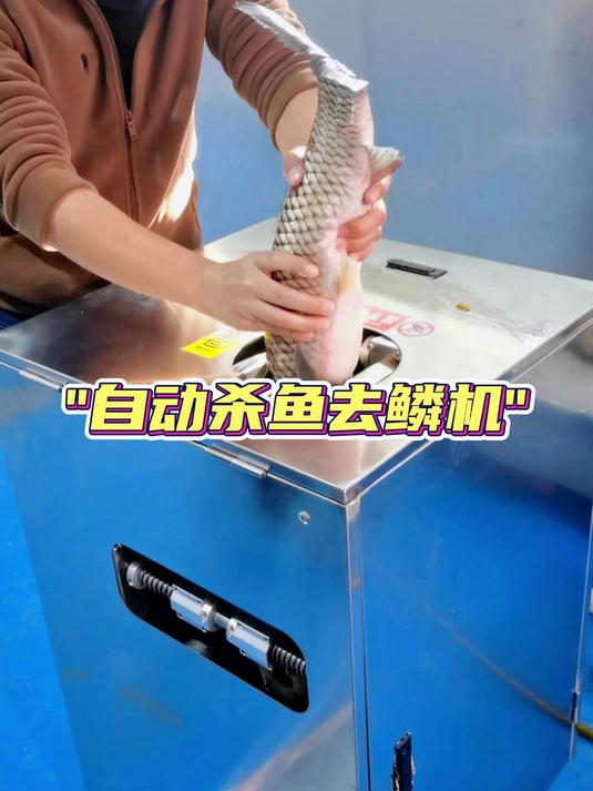 自动鱼类开背去鳞机,杀鱼机开膛破肚刮鳞一体机