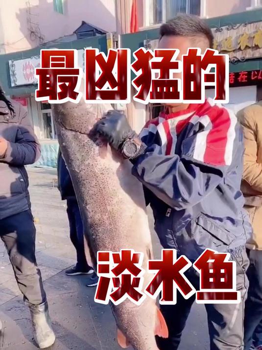 最凶猛的淡水鱼