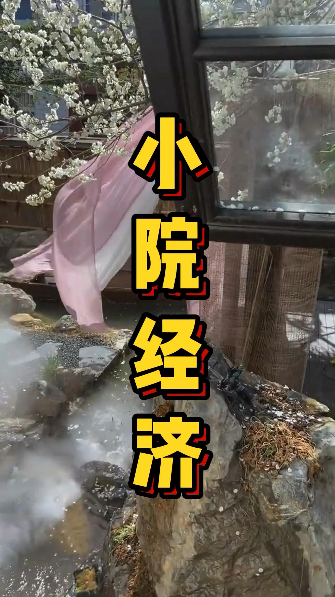 网红小院设计规划