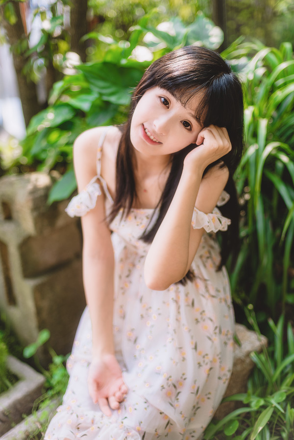 图片[12]-雏菊-六色网