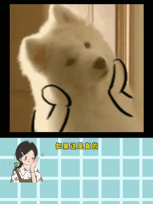 全球高考大电影你值得期待