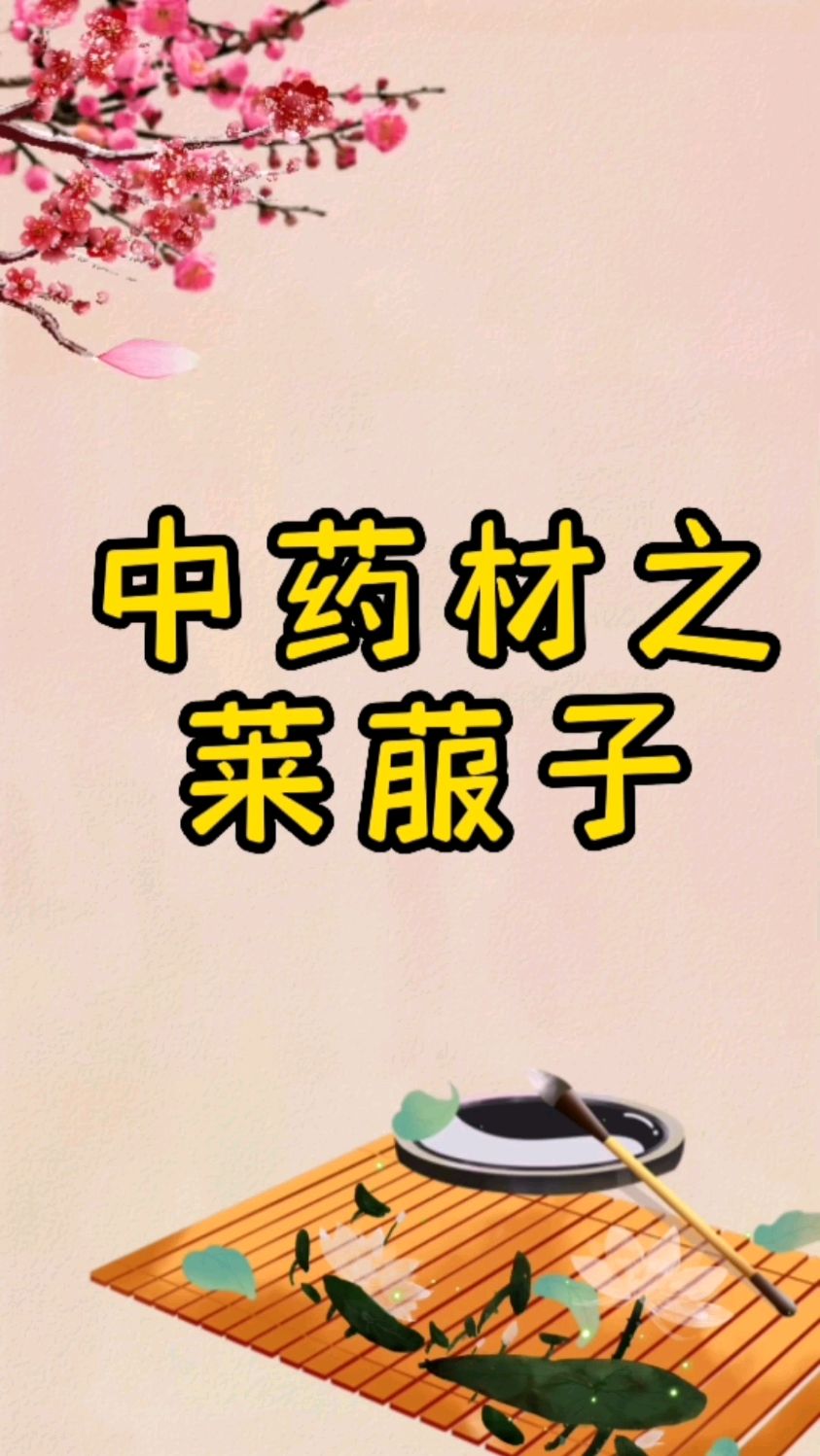 中药材之莱菔子