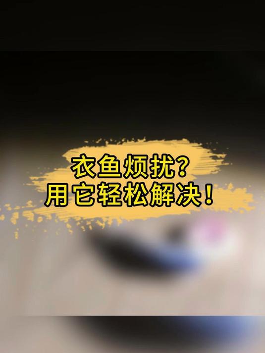家里出现衣鱼虫如何快速消灭?